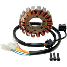 Ricks Stator [MPN: 21-816]_465755