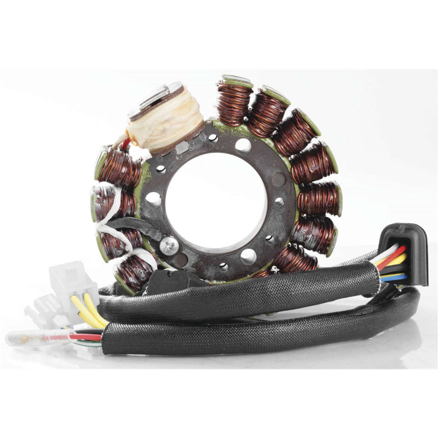 Ricks Stator [MPN: 21-816]_293966