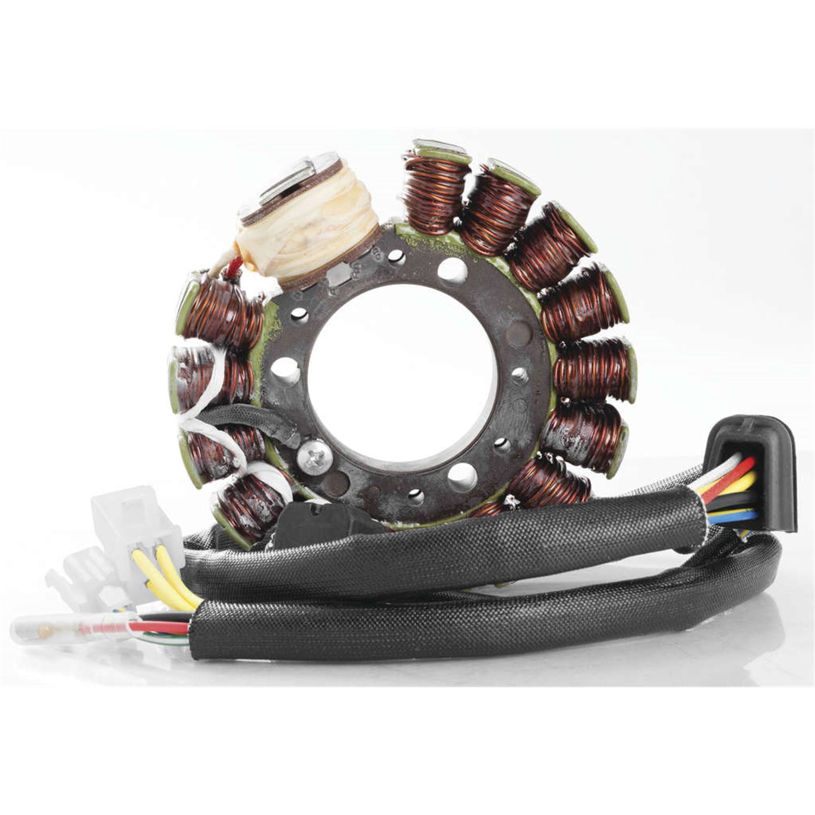 Ricks Stator [MPN: 21-816]_293966