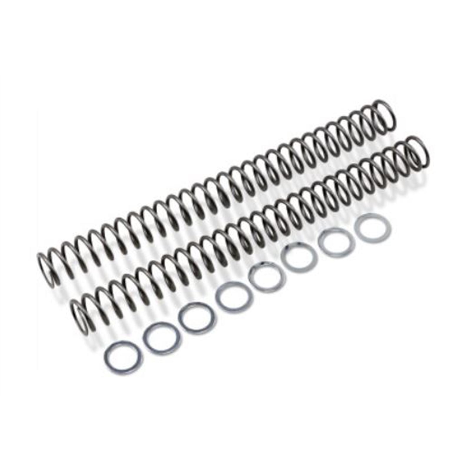 Race Tech Fork Springs - 0.48 kg/mm [MPN: FRSP 454748]_838507