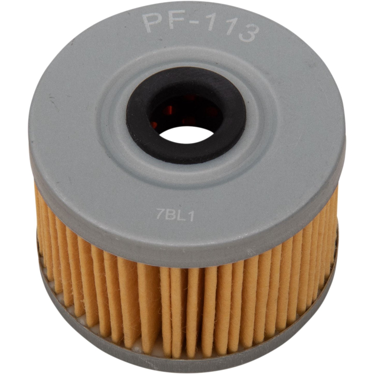 Pro Filter Replacement Oil Filter PF-113_1043152