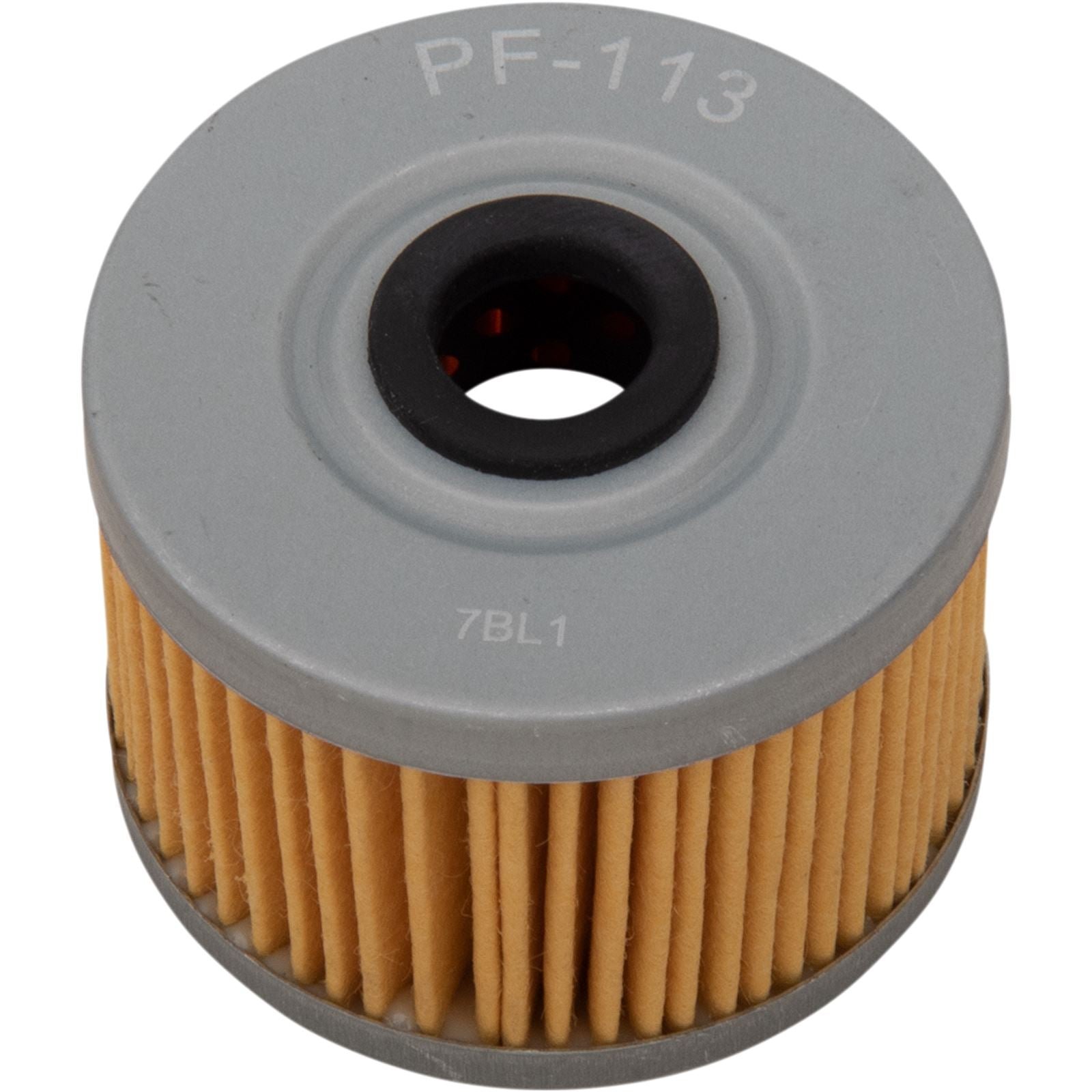 Pro Filter Replacement Oil Filter PF-113_1043152