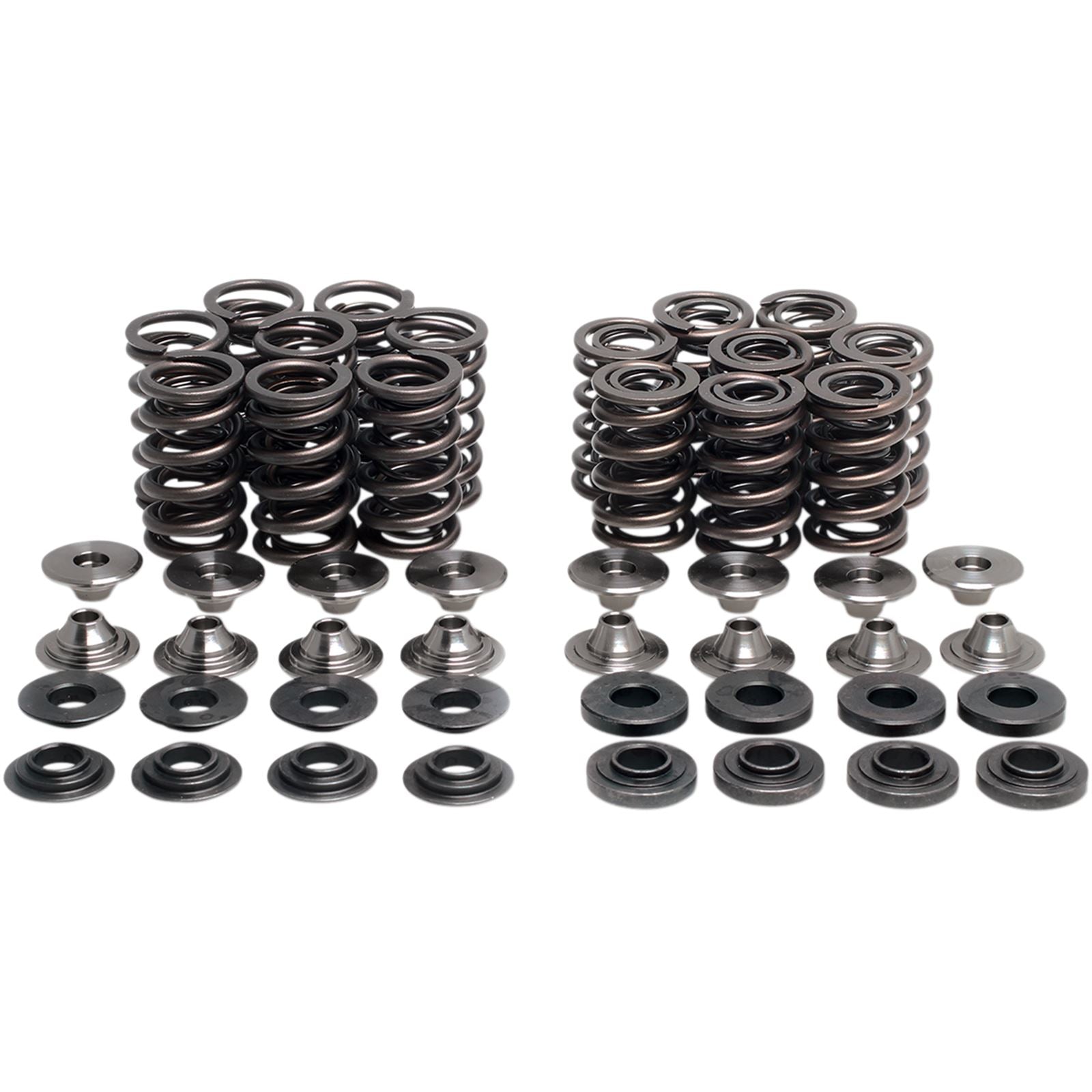 KPMI Valve Spring Kit [MPN: 40-41100]_1043232
