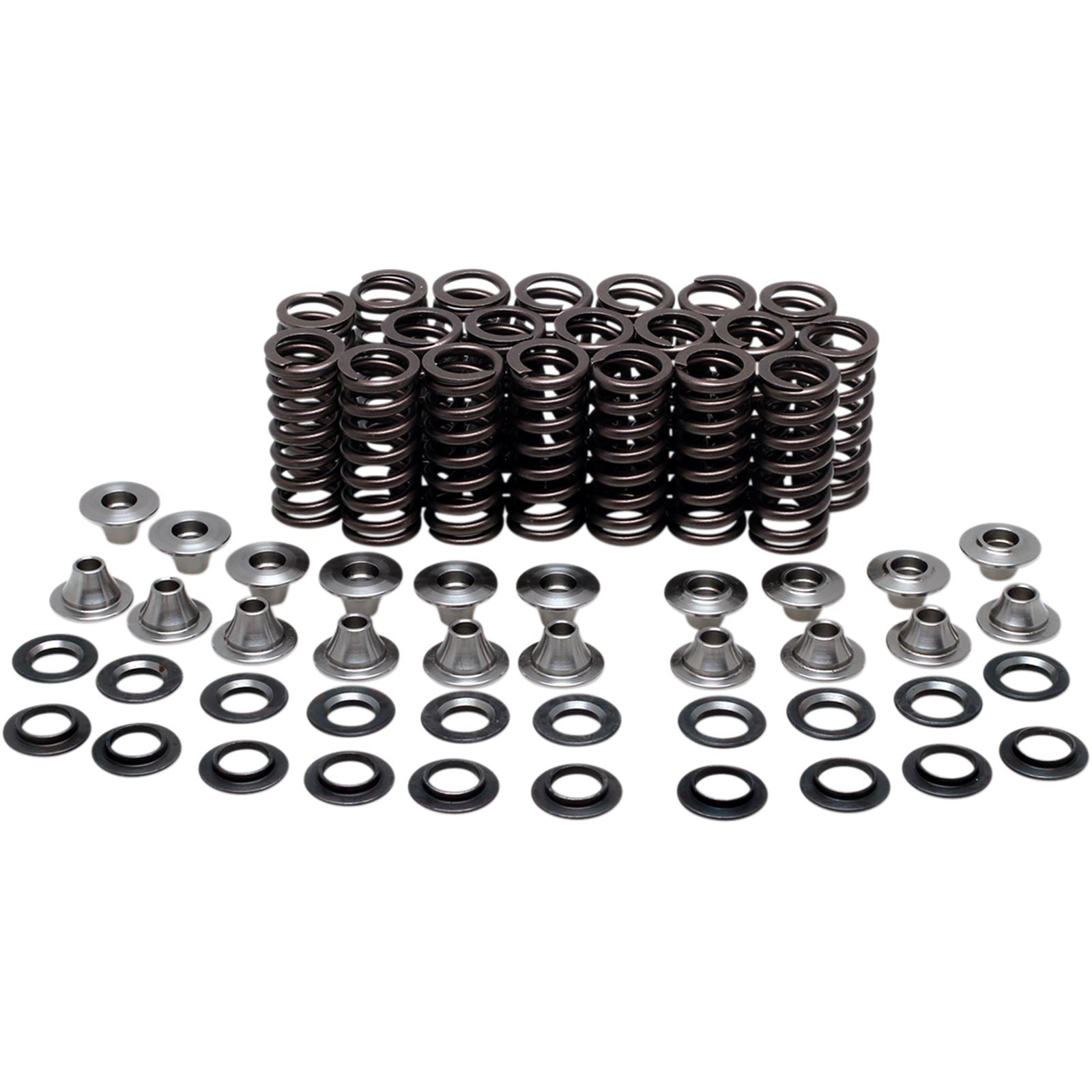 KPMI Valve Spring Kit [MPN: 80-80500]_1043311
