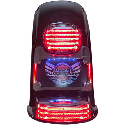 Custom Dynamics Turn Signal Eliminator/Illuminated Tri-Frame - Chrome TS-ELIM-06HW-C_1044066