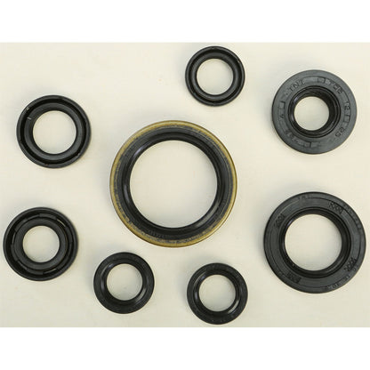 Vertex Oil Seal Set 822175_295479