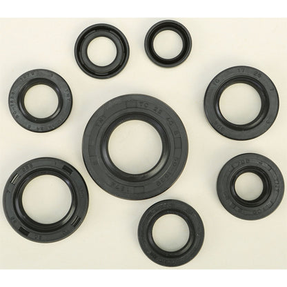 Vertex Oil Seal Set 822181_295485