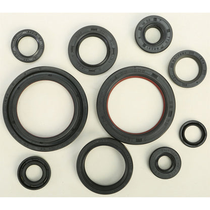 Vertex Oil Seal Set 822248_295512