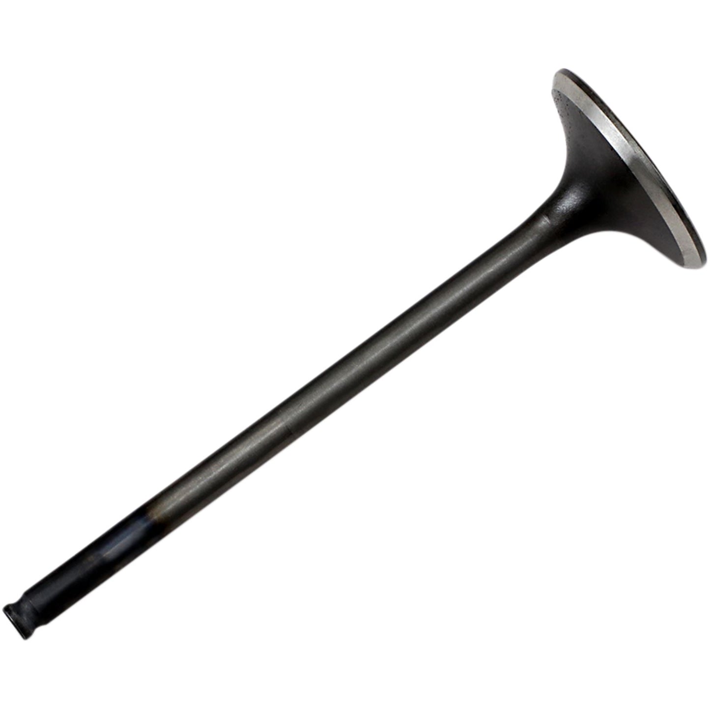 Wiseco - Powersports Valve Steel Exhaust CRF250R '08-09 VES023_495843