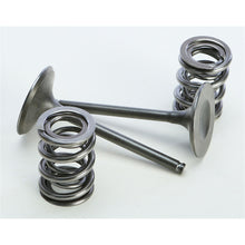 ProX Steel Intake Valve/Spring Kit 28.SIS4409-2_295656