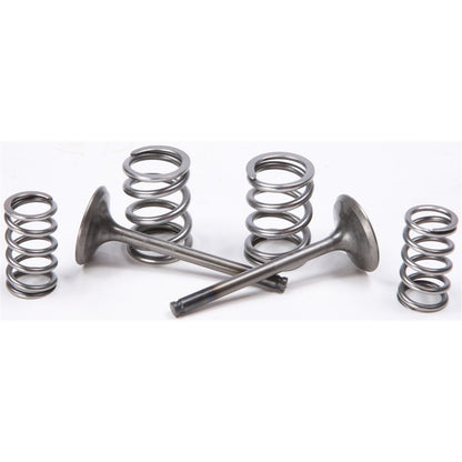 ProX Steel Exhaust Valve Spring Kit 28.SES4409-1_295657
