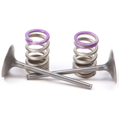 ProX Steel Intake Valve/Spring Kit 28.SIS4336-2_295660
