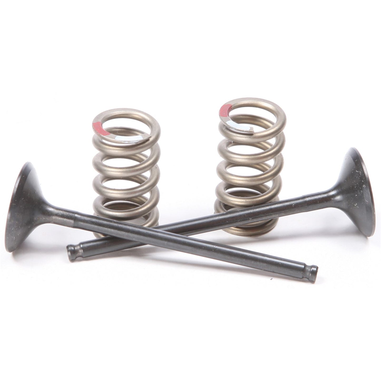 ProX Steel Exhaust Valve Spring Kit 28.SES2414-1_295680