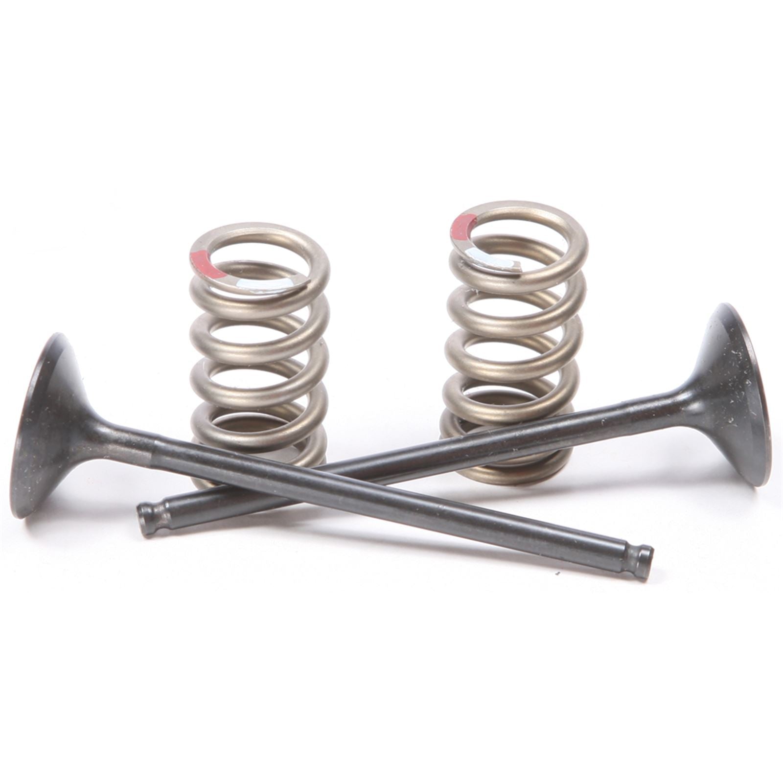 ProX Steel Exhaust Valve Spring Kit 28.SES2414-1_295680