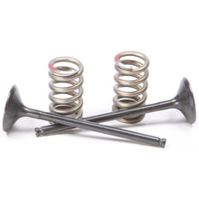 ProX Steel Exhaust Valve Spring Kit 28.SES2414-1_295680