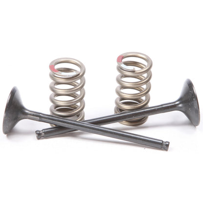 ProX Steel Exhaust Valve Spring Kit 28.SES2414-1_295680