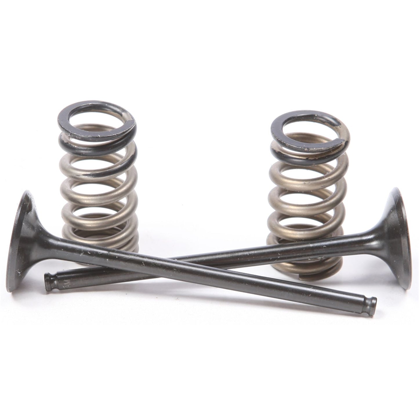 ProX Steel Exhaust Valve/Spring Kit for KTM 28.SES6329-1_295684