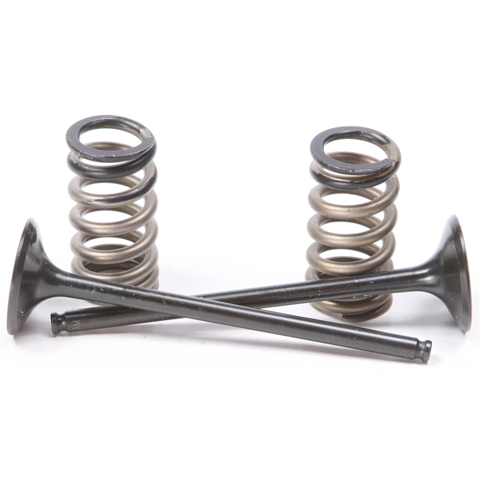 ProX Steel Exhaust Valve/Spring Kit for KTM 28.SES6329-1_295684