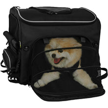 Nelson-Rigg Route 1 Rover Pet Carrier NR-240_613439