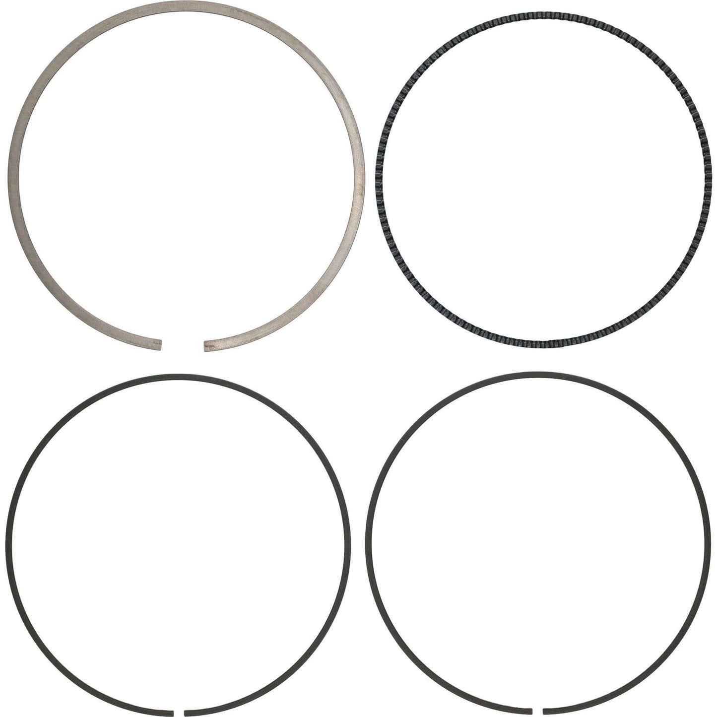 Piston Rings For Vertex Pistons Only CLOSEOUT 590295000003_1440534