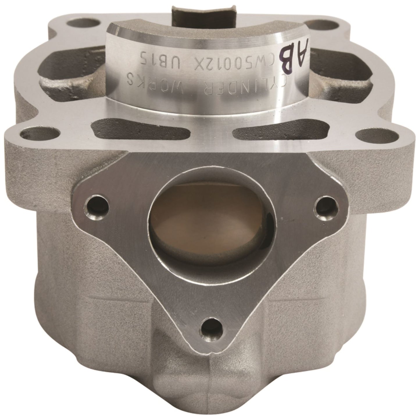 Cylinder Works Standard Bore Cylinder for Gas Gas/ Husqvarna/ KTM [MPN: CW50012]_1618302