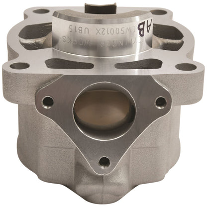 Cylinder Works Standard Bore Cylinder for Gas Gas/ Husqvarna/ KTM [MPN: CW50012]_1618302