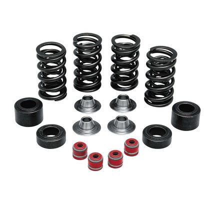 KPMI Racing Valve Spring Kit [MPN: 30-30880]_296918