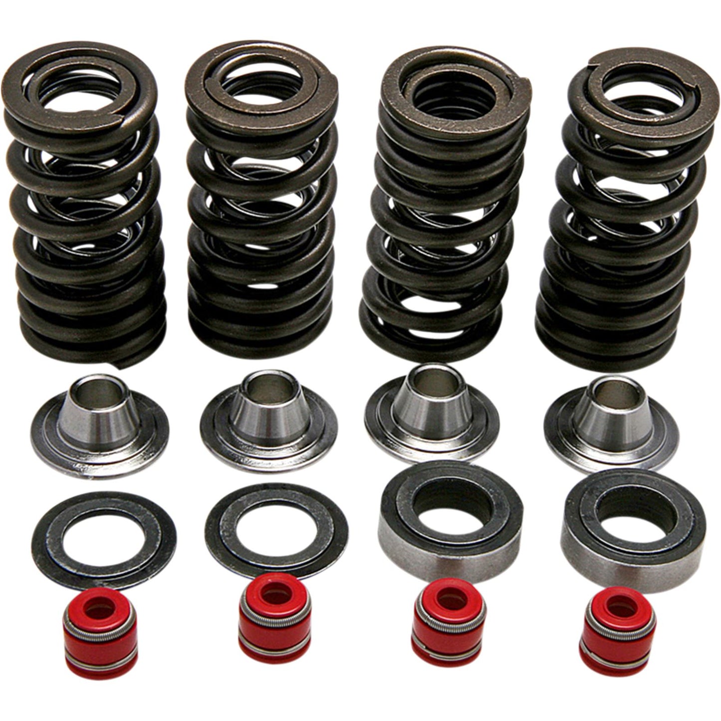 KPMI Racing Valve Spring Kit [MPN: 30-30590]_406819