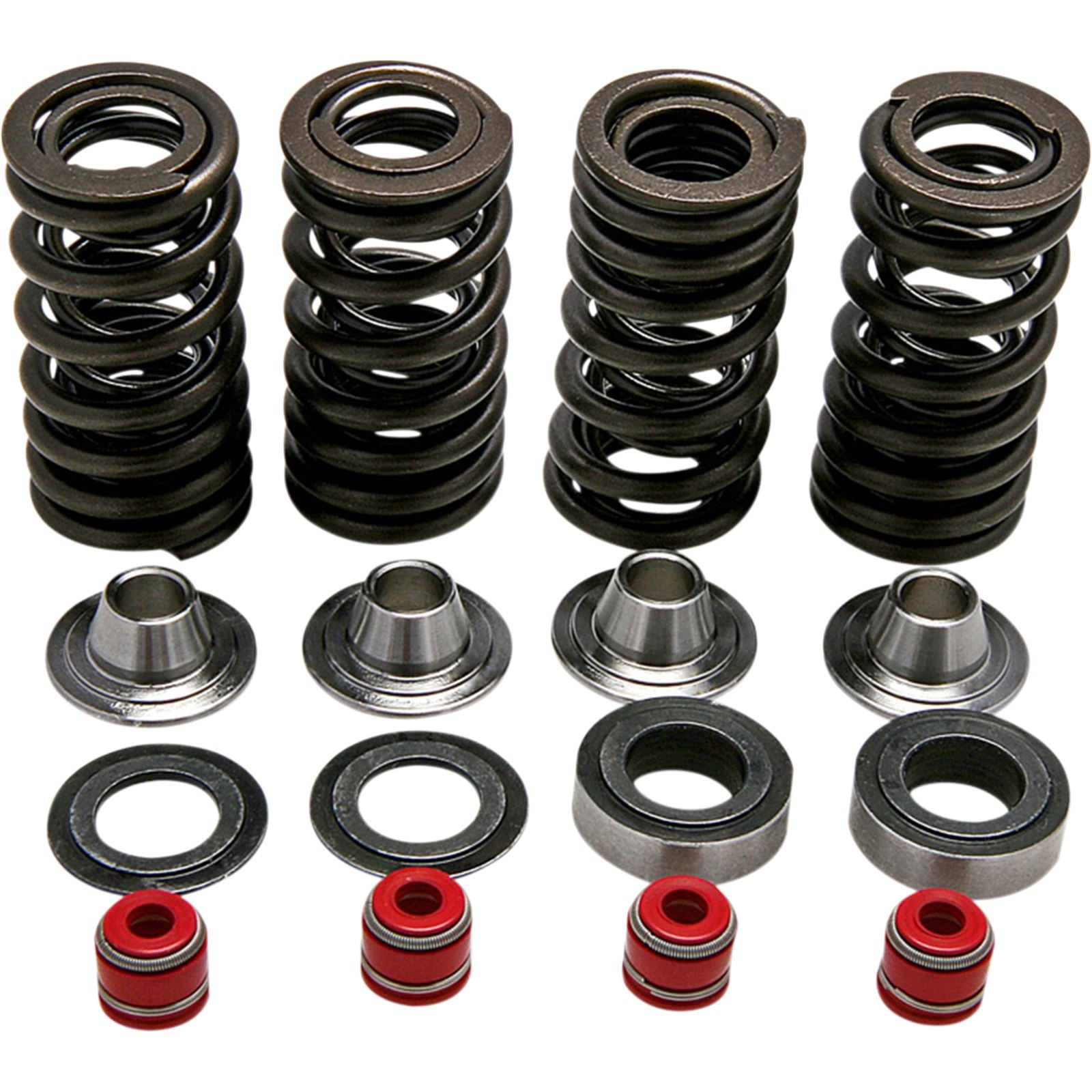 KPMI Racing Valve Spring Kit [MPN: 30-30590]_406819