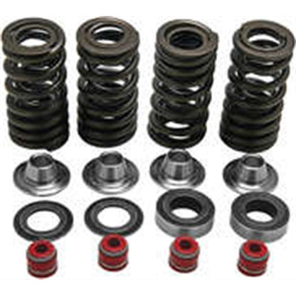 KPMI Racing Valve Spring Kit [MPN: 30-30590]_296923