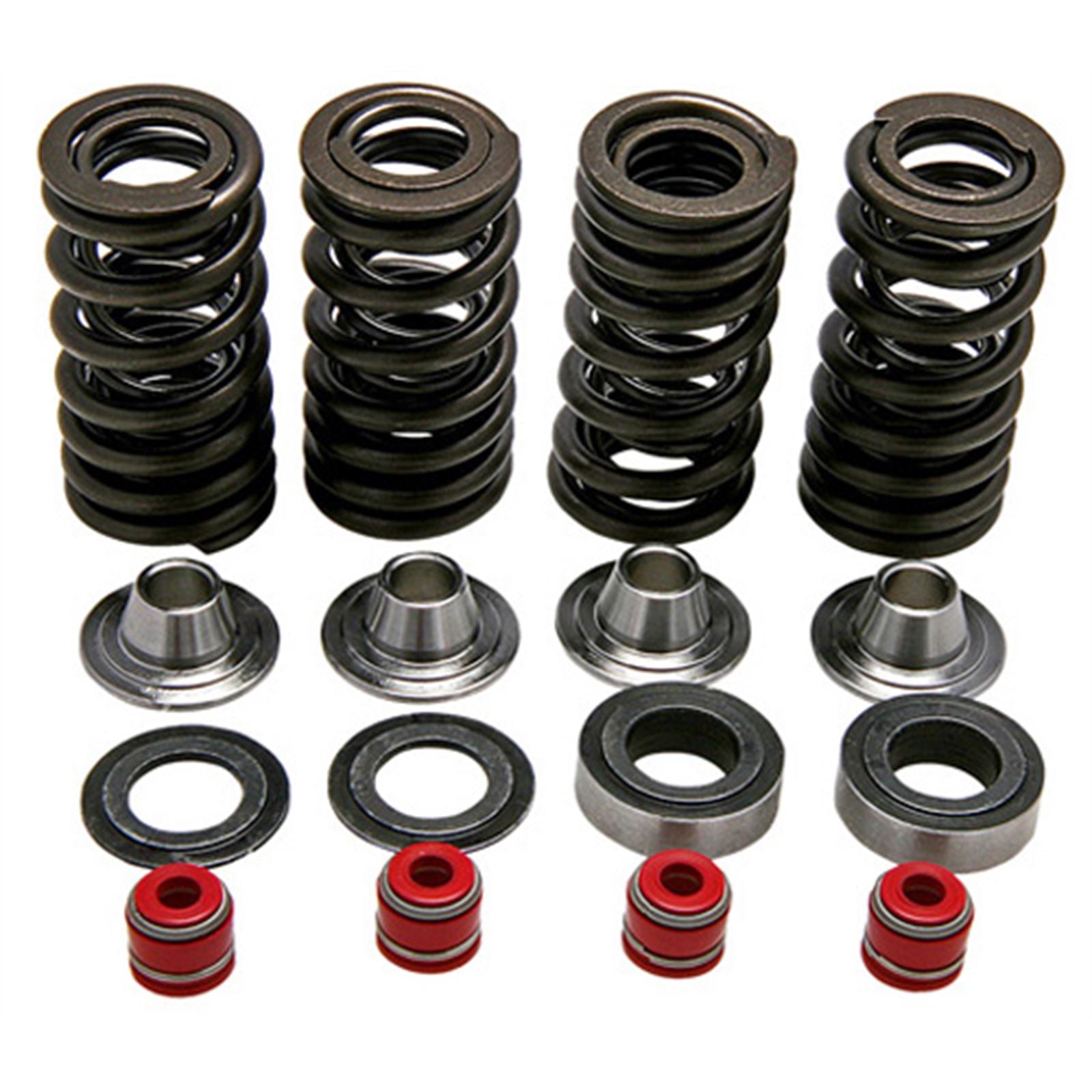 KPMI Racing Valve Spring Kit [MPN: 30-30590]_601590
