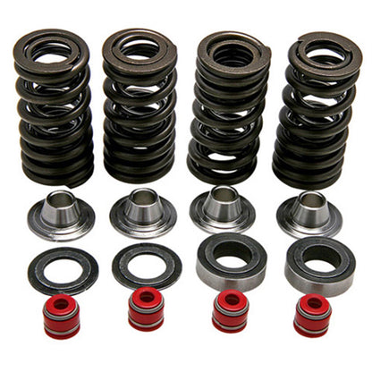 KPMI Racing Valve Spring Kit [MPN: 30-30590]_601590
