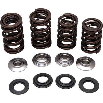 KPMI Racing Valve Spring Kit [MPN: 30-31150]_406895