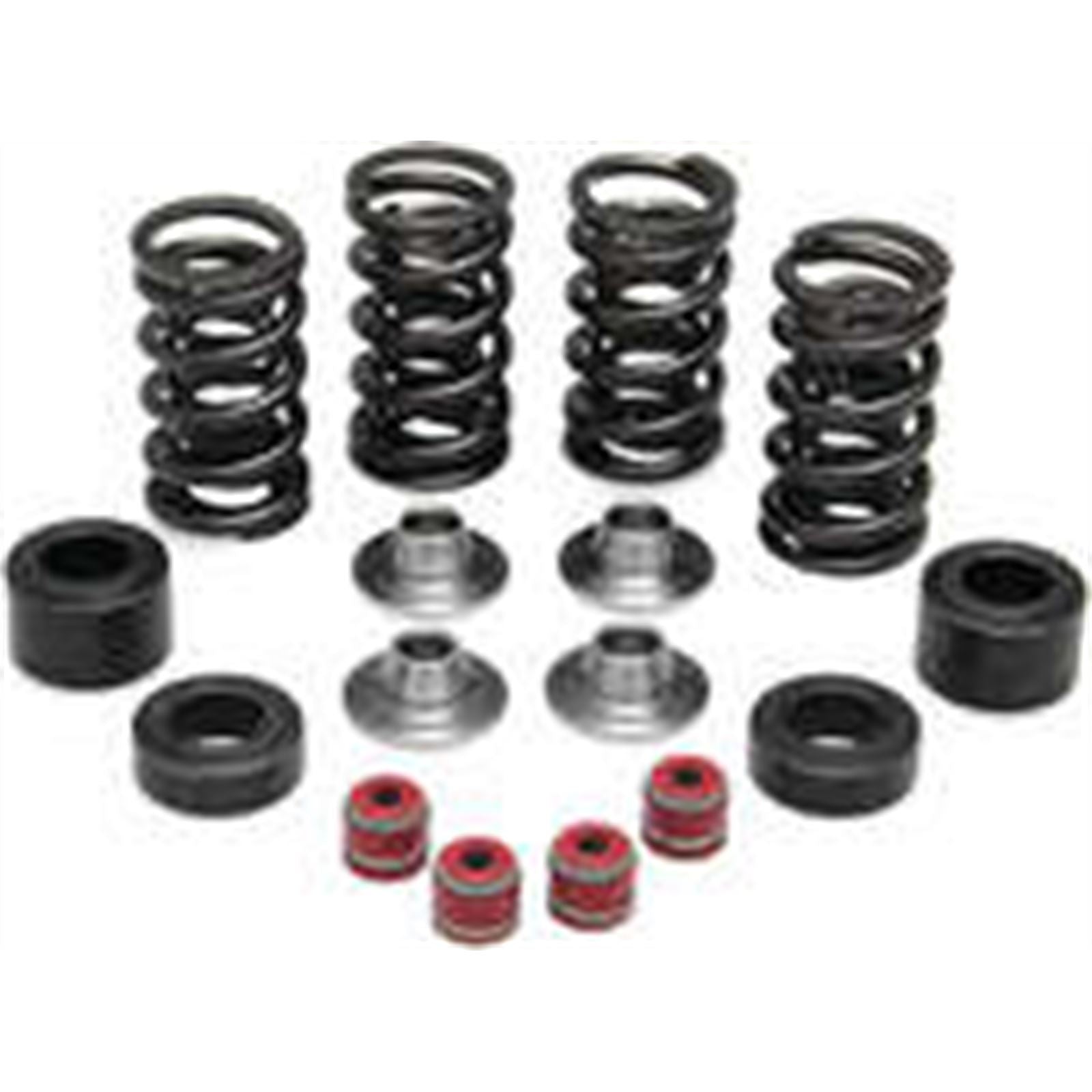 KPMI Racing Valve Spring Kit [MPN: 30-31450]_296927