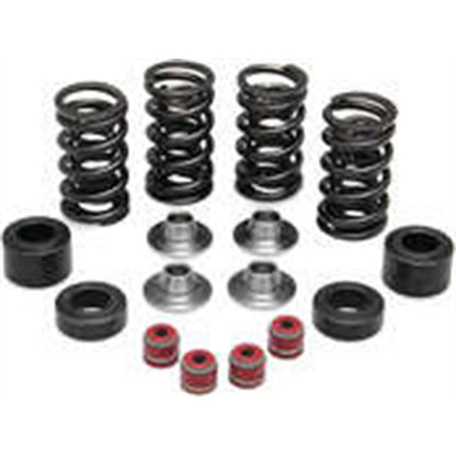 KPMI Racing Valve Spring Kit [MPN: 30-31450]_296927