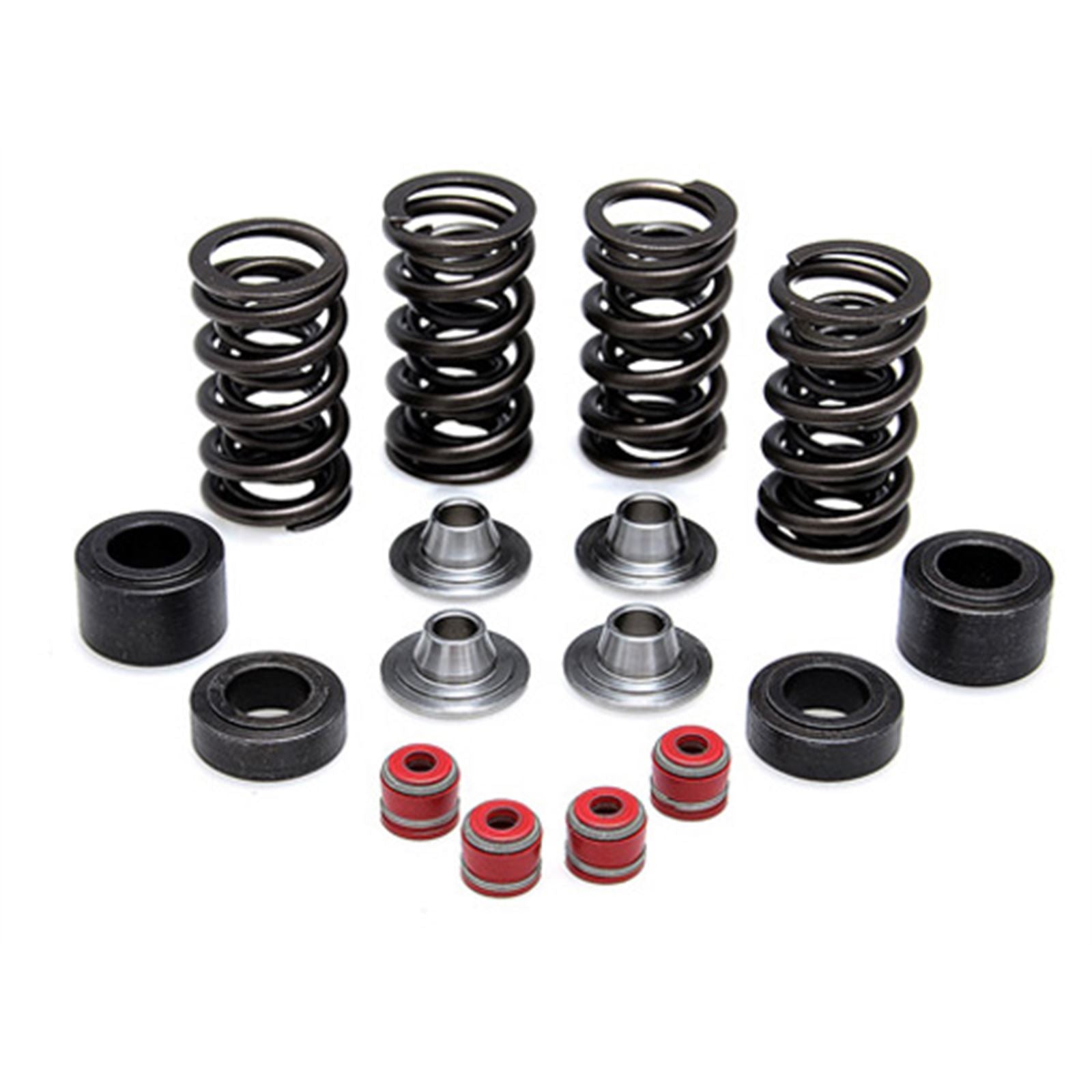 KPMI Racing Valve Spring Kit [MPN: 30-31450]_601592