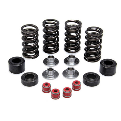 KPMI Racing Valve Spring Kit [MPN: 30-31450]_601592