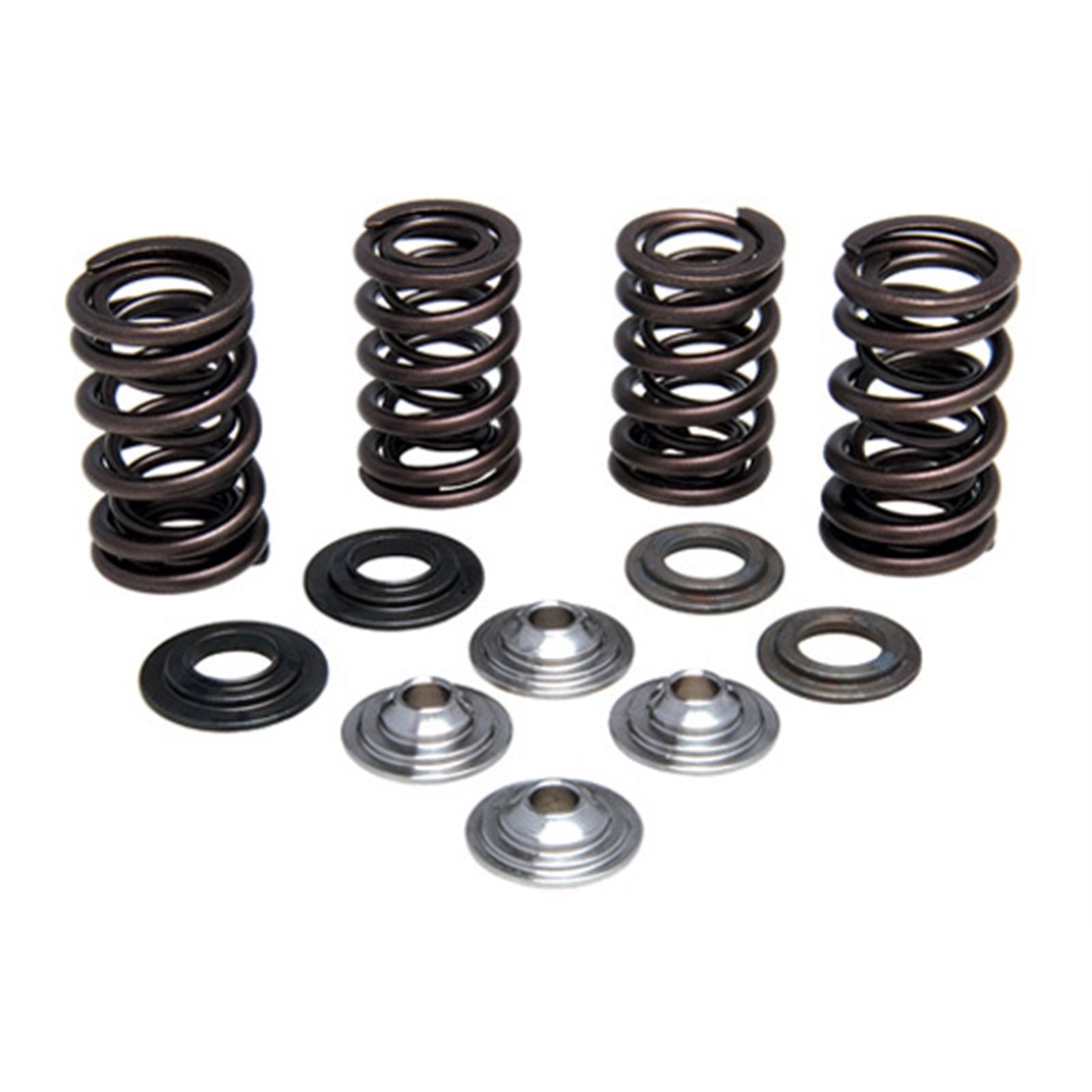 KPMI Racing Valve Spring Kit [MPN: 30-31250]_601593