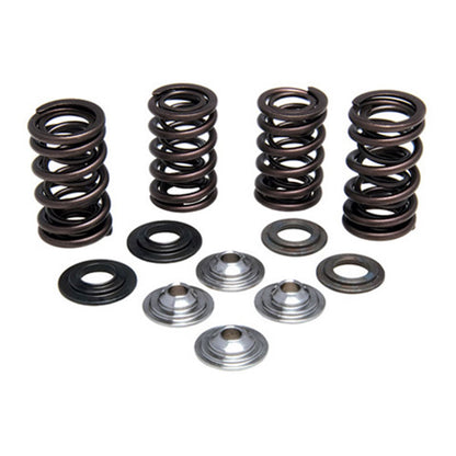 KPMI Racing Valve Spring Kit [MPN: 30-31250]_601593