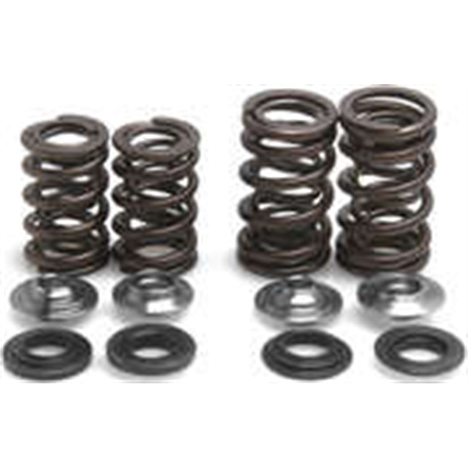 KPMI Racing Valve Spring Kit [MPN: 30-31050]_296931