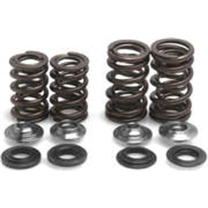 KPMI Racing Valve Spring Kit [MPN: 30-31050]_296931