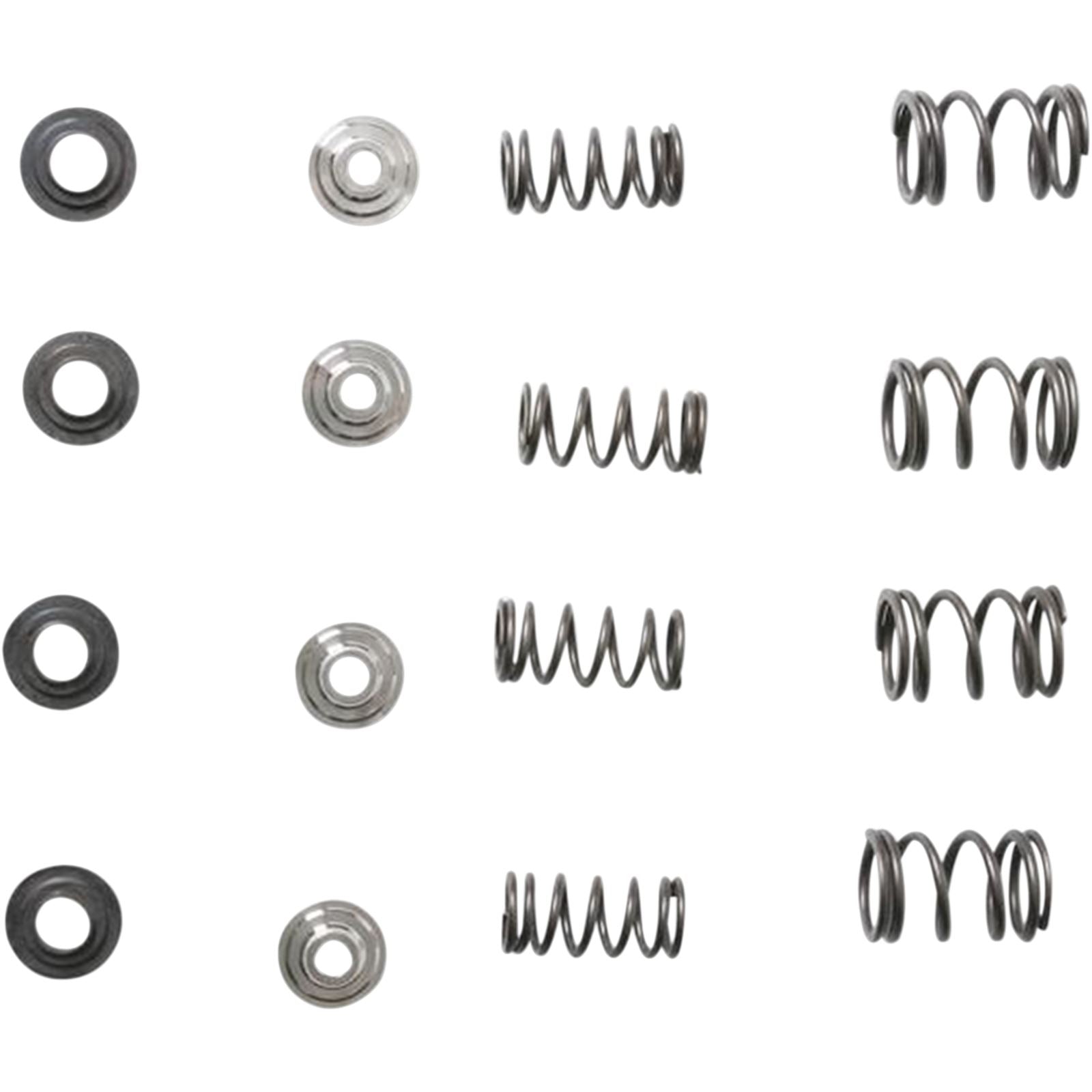 KPMI Racing Valve Spring Kit [MPN: 30-30015]_407636