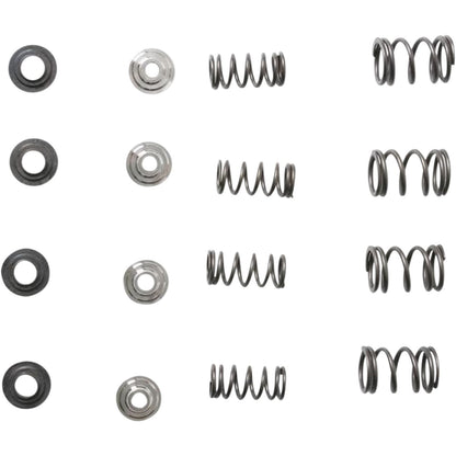 KPMI Racing Valve Spring Kit OPEN BOX [MPN: 30-30015]_2288303