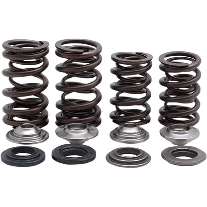 KPMI Racing Valve Spring Kit [MPN: 30-31600]_407194
