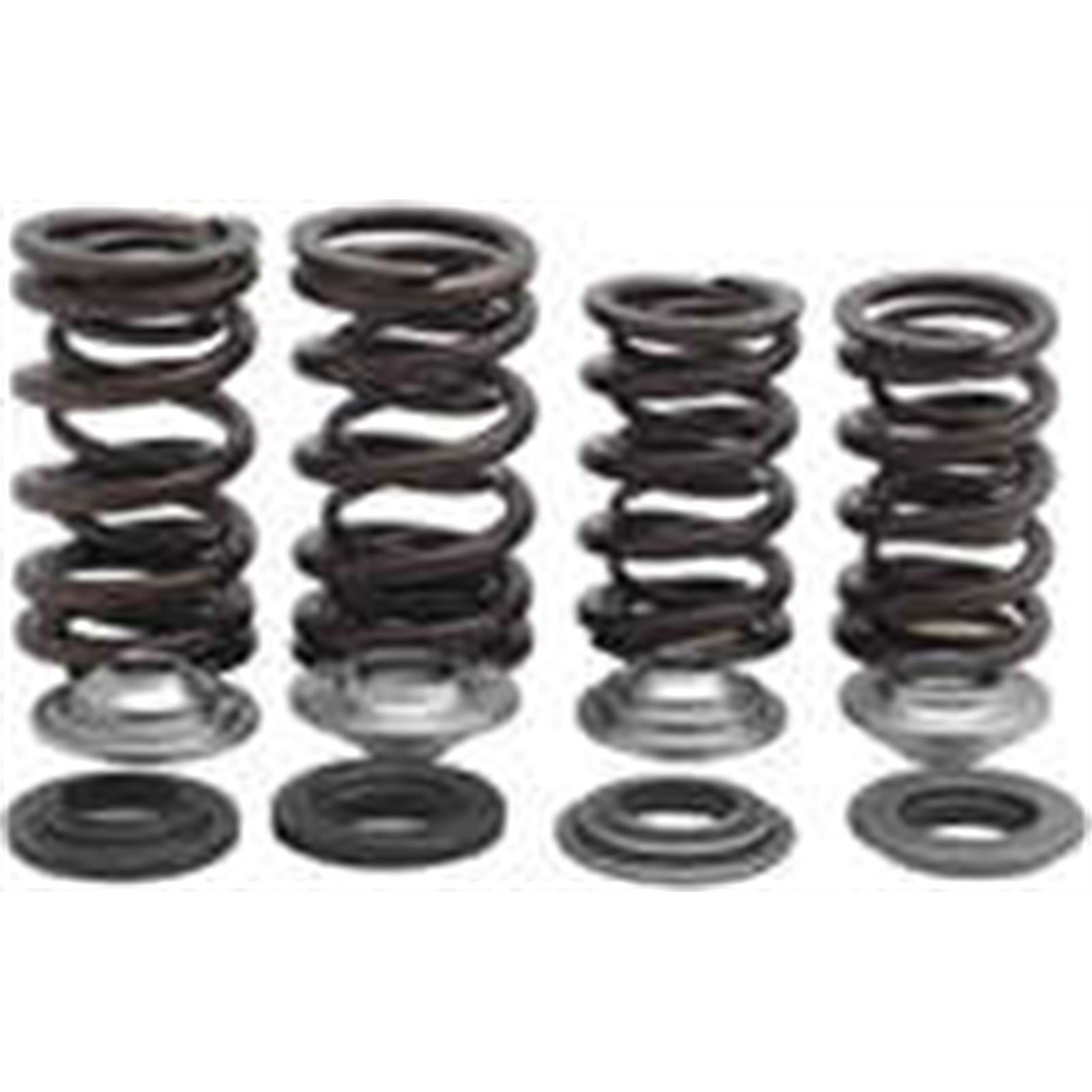 KPMI Racing Valve Spring Kit [MPN: 30-31600]_296937