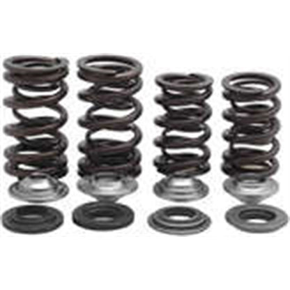 KPMI Racing Valve Spring Kit [MPN: 30-31600]_296937