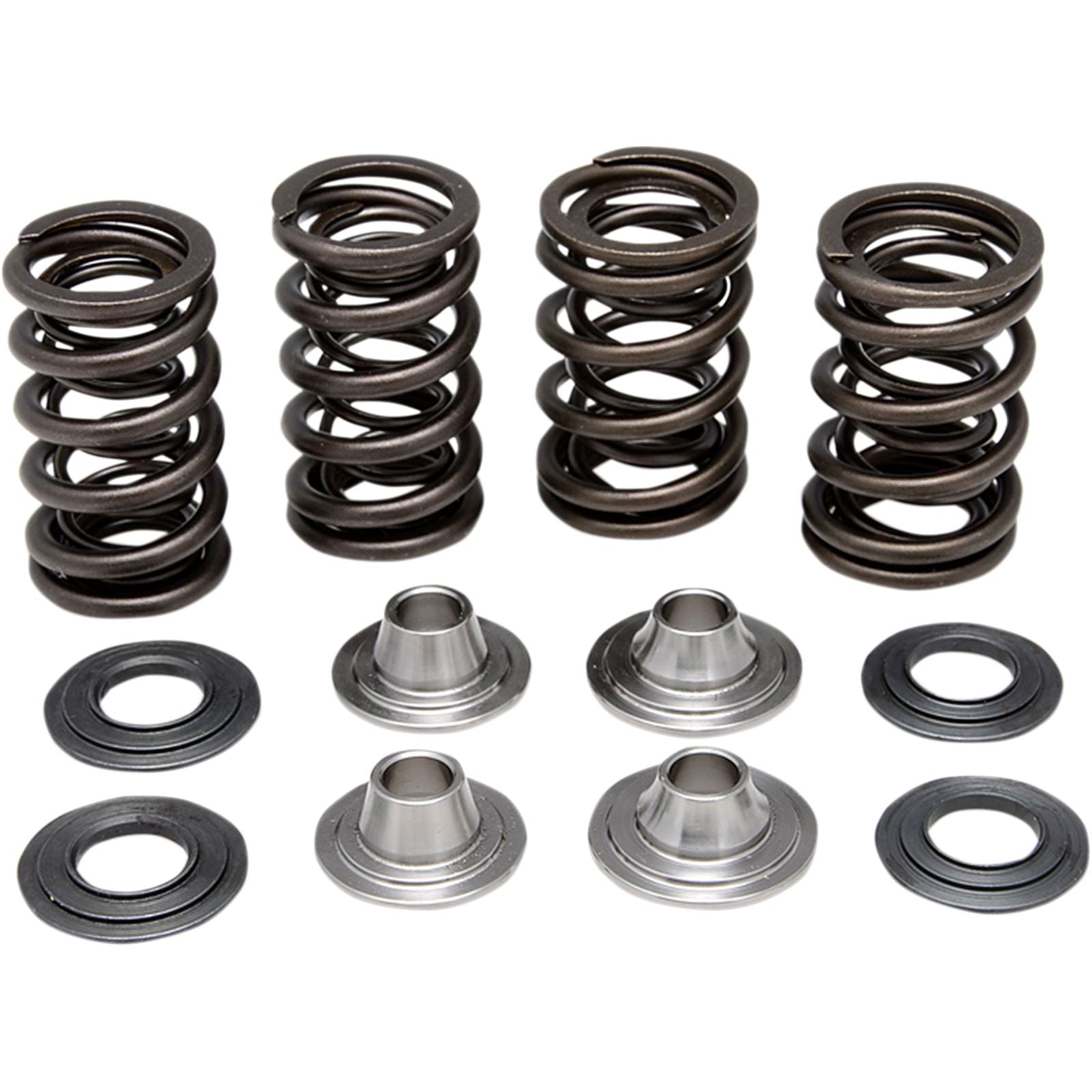 KPMI Racing Valve Spring Kit [MPN: 40-40300]_406902
