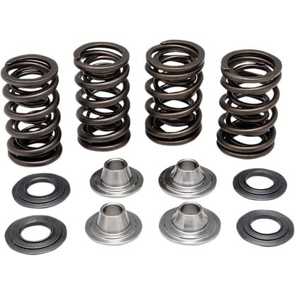 KPMI Racing Valve Spring Kit [MPN: 40-40300]_406902