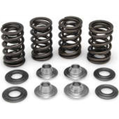 KPMI Racing Valve Spring Kit [MPN: 40-40300]_296939