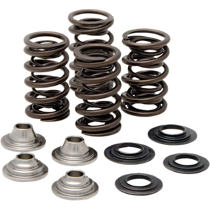 KPMI Racing Valve Spring Kit [MPN: 40-40660]_407200